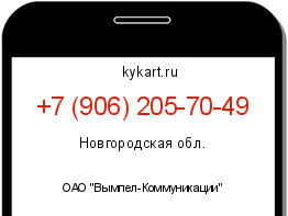Информация о номере телефона +7 (906) 205-70-49: регион, оператор