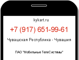 Информация о номере телефона +7 (917) 651-99-61: регион, оператор