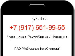 Информация о номере телефона +7 (917) 651-99-65: регион, оператор