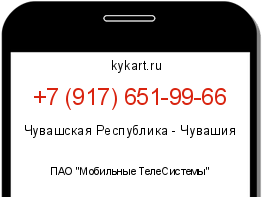 Информация о номере телефона +7 (917) 651-99-66: регион, оператор