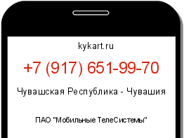 Информация о номере телефона +7 (917) 651-99-70: регион, оператор