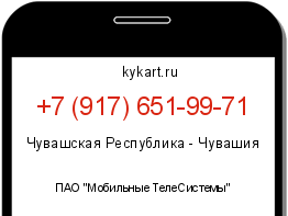 Информация о номере телефона +7 (917) 651-99-71: регион, оператор