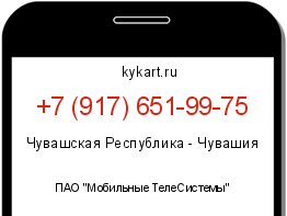 Информация о номере телефона +7 (917) 651-99-75: регион, оператор