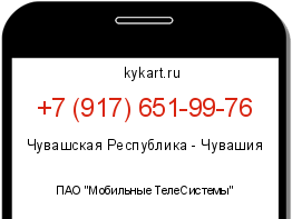 Информация о номере телефона +7 (917) 651-99-76: регион, оператор