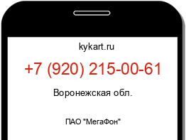 Информация о номере телефона +7 (920) 215-00-61: регион, оператор