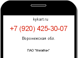 Информация о номере телефона +7 (920) 425-30-07: регион, оператор