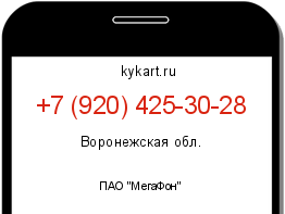 Информация о номере телефона +7 (920) 425-30-28: регион, оператор