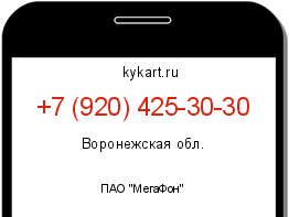 Информация о номере телефона +7 (920) 425-30-30: регион, оператор