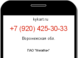 Информация о номере телефона +7 (920) 425-30-33: регион, оператор