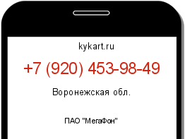 Информация о номере телефона +7 (920) 453-98-49: регион, оператор