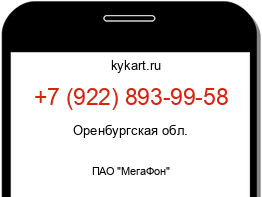 Информация о номере телефона +7 (922) 893-99-58: регион, оператор