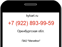 Информация о номере телефона +7 (922) 893-99-59: регион, оператор