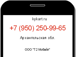 Информация о номере телефона +7 (950) 250-99-65: регион, оператор