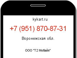 Информация о номере телефона +7 (951) 870-87-31: регион, оператор