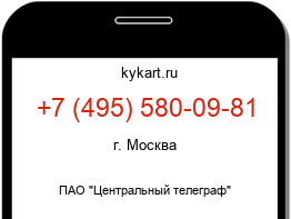 4955800981
