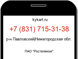 8317153138