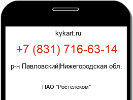 8317166314