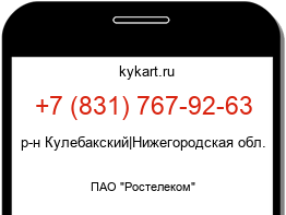 8317679263