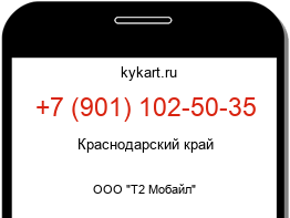 9011025035