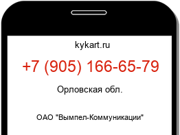 Информация о номере телефона +7 (905) 166-65-79: регион, оператор