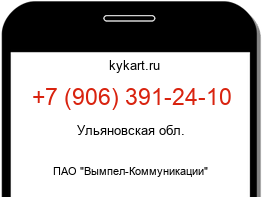 Информация о номере телефона +7 (906) 391-24-10: регион, оператор