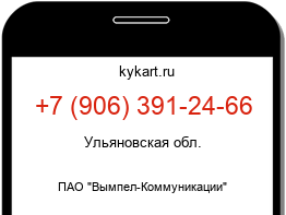Информация о номере телефона +7 (906) 391-24-66: регион, оператор