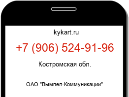 9065249196