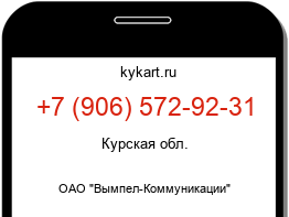 9065729231