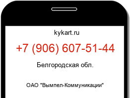 Информация о номере телефона +7 (906) 607-51-44: регион, оператор
