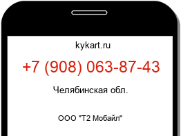 9080638743