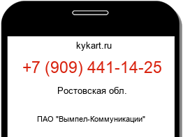 9094411425