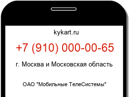9100000065