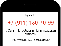 9111307099