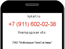 Информация о номере телефона +7 (911) 602-02-38: регион, оператор