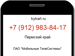 9129838417