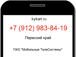9129838419