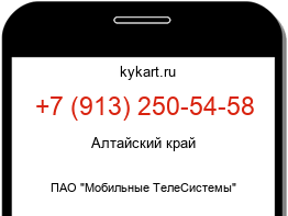 9132505458