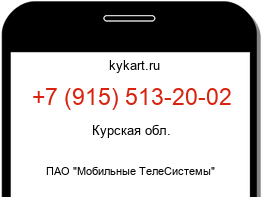 9155132002