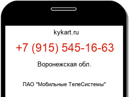 9155451663