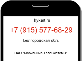 9155776829