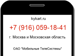 9160591841