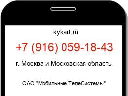 9160591843