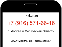 9165716616