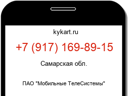 9171698915