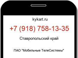 9187581335