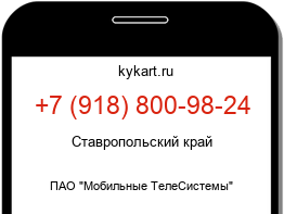9188009824