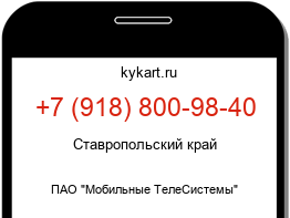 9188009840