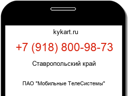 9188009873
