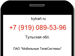 9190895396