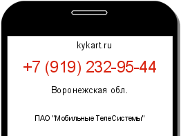Информация о номере телефона +7 (919) 232-95-44: регион, оператор
